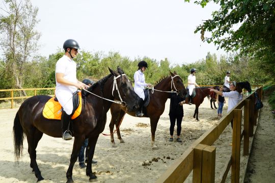 Реализация проекта Региональная общественная организация «Дагестанская федерация конного спорта»