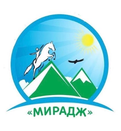 Реализация проекта АНО «Центр развития для детей с особенностями развития и инвалидов детства «Мирадж»